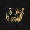 466748.webp 466748.webp