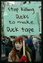 tape.webp