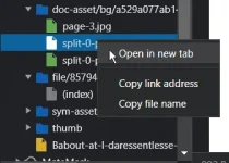 1639388619296.webp