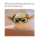1639428954008.webp