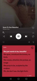 Screenshot_20211221_223344_com.spotify.music.webp