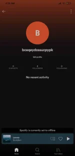 Screenshot_2021-12-24-08-28-49-125_com.spotify.music.webp