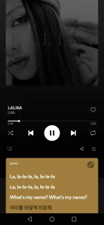 Screenshot_20211225_141258_com.spotify.music.webp Screenshot_20211225_141258_com.spotify.music.webp
