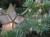 christmas_tree.webp