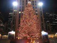 christmas-tree-rockefeller-center.jpg