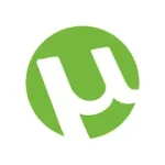 image-33.webp image-33.webp