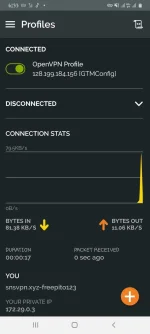 Screenshot_20220216-063336_OpenVPN Connect.webp