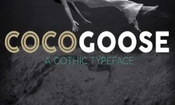 cocogoose-pro.webp cocogoose-pro.webp