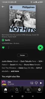 Screenshot_2022-02-17-01-43-44-069_com.spotify.music.webp
