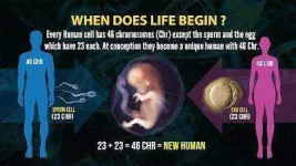 EN-sample%2Bng%2Bchromosomes.jpg EN-sample%2Bng%2Bchromosomes.jpg