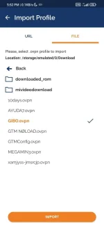 Screenshot_2022-02-17-17-52-57-020_net.openvpn.openvpn.webp