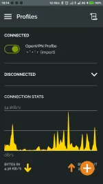 Screenshot_2022-02-18-10-14-14-898_net.openvpn.openvpn.webp