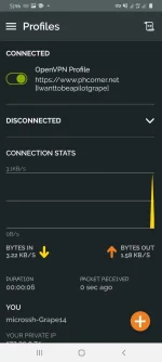 Screenshot_20220219-054650_OpenVPN Connect.webp