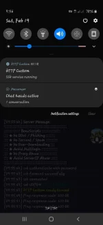 Screenshot_20220219-095603_HTTP Custom.jpg