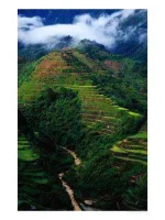 banauetalaga1.jpg