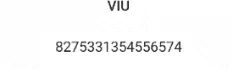viu code.png