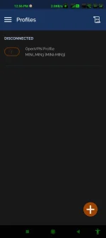 Screenshot_2022-02-25-12-56-16-435_net.openvpn.openvpn.webp