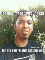 dahon.webp