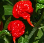 IMG_20220228_085641.webp