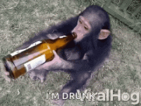 drinking-drunk.gif