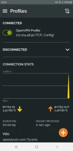 Screenshot_20220301-184327_OpenVPN Connect.webp