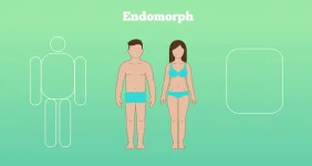 Body-Shapes_Endo_single.png