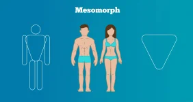 Body-Shapes_Meso_single.png