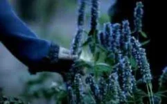 images-142.jpeg images-142.jpeg