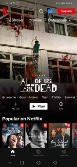 Screenshot_20220305_100305_com.netflix.mediaclient.webp