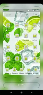Screenshot_2022-03-06-16-30-41-569_com.summer.mint.lemon.webp