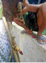 FB_IMG_1644214530441.webp