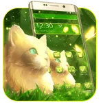 cat1.webp