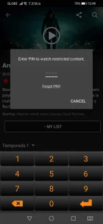 Screenshot_20220308_124925_com.netflix.mediaclient.webp