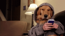 200-10.gif 200-10.gif