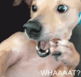 200-12.gif 200-12.gif