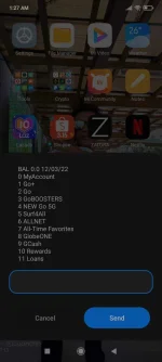 Screenshot_2022-03-12-01-27-30-046_com.android.phone.webp