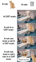 1647055208000.webp