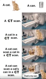 CT SCAN.webp