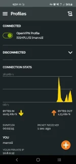 Screenshot_20220312-161033_OpenVPN Connect.webp