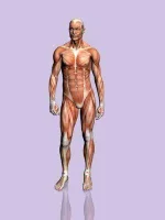 human_body.webp human_body.webp