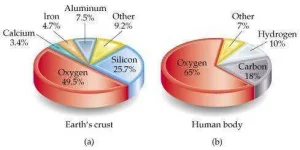 mineral_graph.webp mineral_graph.webp