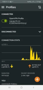 Screenshot_20220315-090349_OpenVPN Connect.webp
