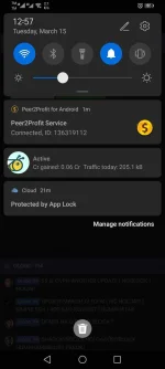 Screenshot_20220315_125707_com.huawei.browser.webp
