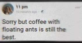 coffee float.webp