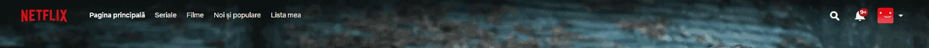 1647413647848.webp