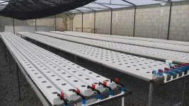 received_5344996125512966.jpeg