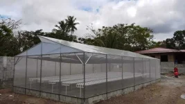 received_512370170530910.webp