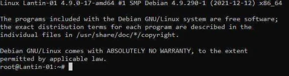 ty.webp ty.webp