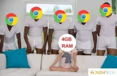 1647498689195.webp