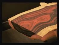 9.-Cocobolo-Wood.png